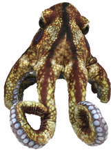 Load image into Gallery viewer, Octopus Aquatic Ocean Plush 10" Stuffed Animal
