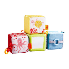 Load image into Gallery viewer, Discovery Cubes Marine World