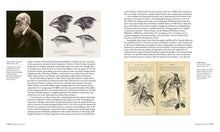 Load image into Gallery viewer, Scientifica Historia