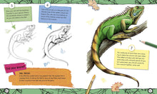 Load image into Gallery viewer, How To Draw Everything