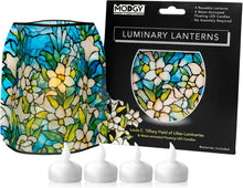 Load image into Gallery viewer, Luminary Lanterns
