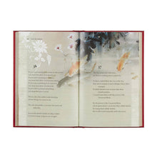 Load image into Gallery viewer, Tao Te Ching (Arcturus Ornate Classics)