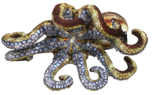 Load image into Gallery viewer, Octopus Aquatic Ocean Plush 10" Stuffed Animal