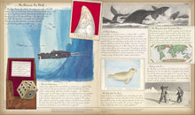 Load image into Gallery viewer, Oceanology: The True Account of the Voyage of the Nautilus