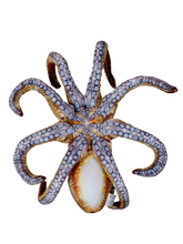 Load image into Gallery viewer, Octopus Aquatic Ocean Plush 10" Stuffed Animal