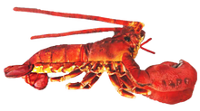 Load image into Gallery viewer, Lobster with Claws 18" Ocean Plush Stuffed Animal