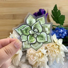 Load image into Gallery viewer, Watercolor Haworthia Succulent Clear Sticker, 3-inch