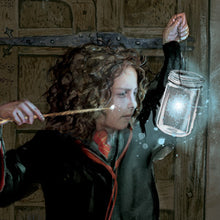 Load image into Gallery viewer, Harry Potter and the Sorcerer's Stone: The Illustrated Edition (Book 1) by J. K. Rowling