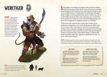 Load image into Gallery viewer, Dungeons and Dragons: Beasts and Behemoths: A Young Adventurer's Guide by Jim Sub, Stacy King, and Andrew Wheeler