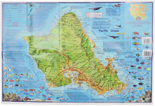 Load image into Gallery viewer, Franko Dive Map