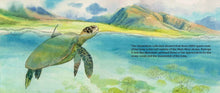 Load image into Gallery viewer, Honu 5690 by Shaowei Liu