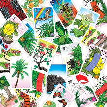 Load image into Gallery viewer, Hanafuda Na Pua Hawaii
