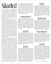 Load image into Gallery viewer, Sharks! Reefer Magnets