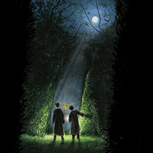 Load image into Gallery viewer, Harry Potter and the Goblet of Fire: The Illustrated Edition (Harry Potter, Book 4) by J. K. Rowling