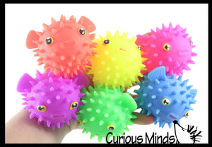 1 Puffer Fish Puffer Ball - Small Novelty Toy - Party Favor