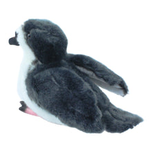 Load image into Gallery viewer, Uau (Hawaiian Petrel Bird) Plush
