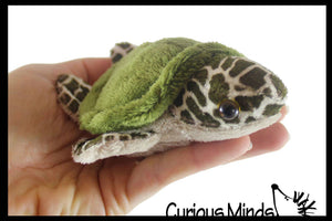 1 Cute Small Turtle Plush Stuffed Animals- Adorable Tiny Min