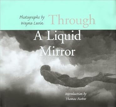 Through A Liquid Mirror by Wayne Levin
