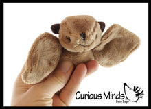 Load image into Gallery viewer, Cute Mini Bat Plush Stuffed Animal
