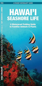 Hawaii Seashore Life Foldout
