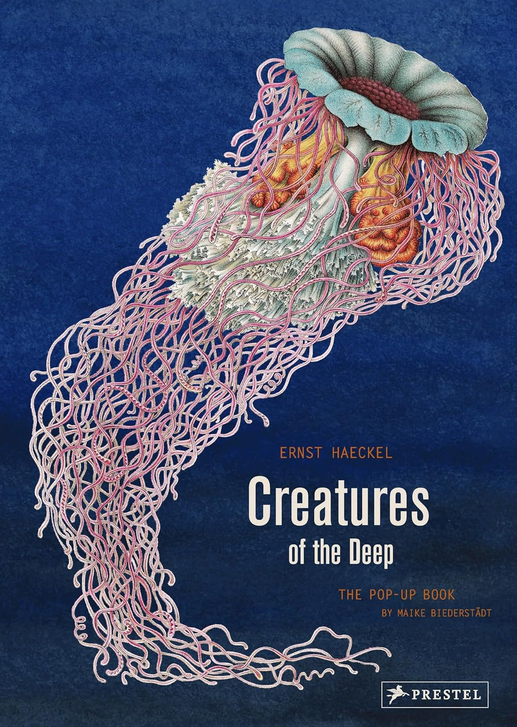 Creatures of the Deep: The Pop-Up Book by Ernst Haeckel and Maike Biederstadt