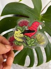 Load image into Gallery viewer, Hawaii Forest Bird Clear Sticker - 'Akeke'e &amp; 'I'iwi
