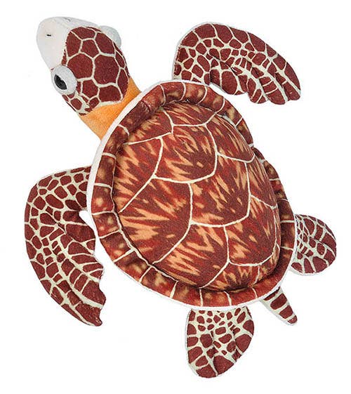 CK-Mini Hawksbill Sea Turtle Stuffed Animal 8