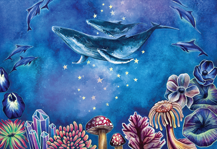 Ocean Wonders by Danielle Burnside (1000 Piece Puzzle)