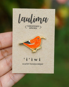 Iiwi Pin
