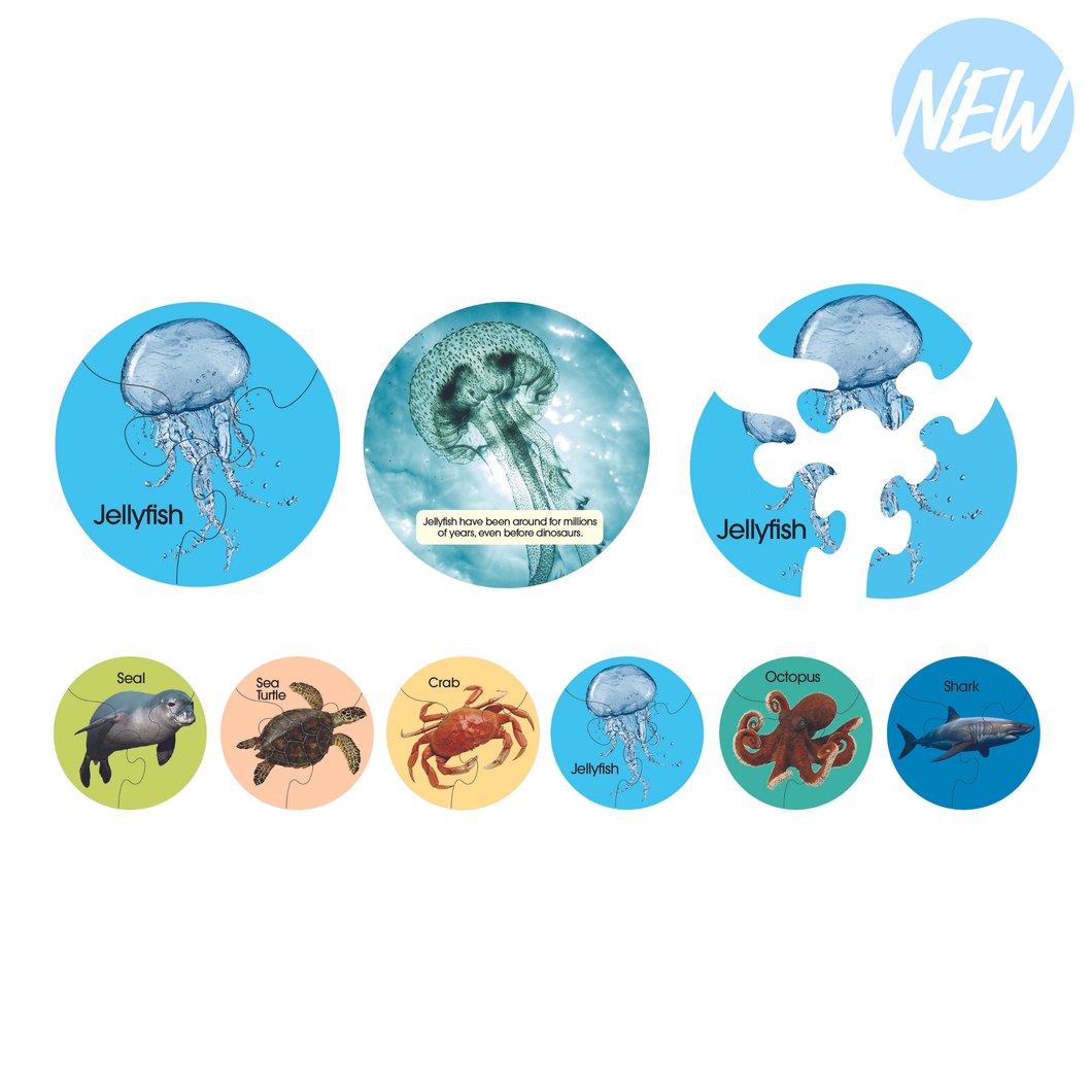 Sealife Animal Puzzle