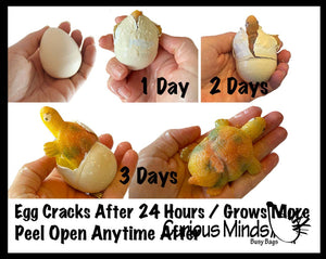 1 Hatch a Turtle Animal Grow in Water - Add Water Expands