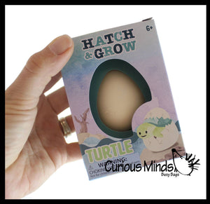 1 Hatch a Turtle Animal Grow in Water - Add Water Expands