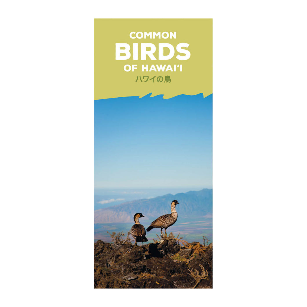 Hawaii Pocket Guides: Common Birds Of Hawaii, translated by Hiroshi Nakata