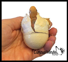 Load image into Gallery viewer, 1 Hatch a Turtle Animal Grow in Water - Add Water Expands
