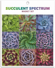 Load image into Gallery viewer, Succulent Spectrum Magnet Set
