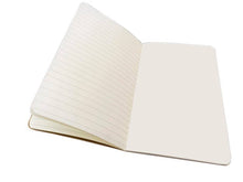 Load image into Gallery viewer, Ashmolean Museum Set of 3 Mini Notebooks
