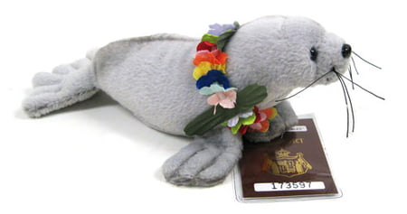 IG Hawaiian Collectibles Small Plush - Passport Monk Seal Umo
