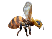 Load image into Gallery viewer, Bee 14&quot; Plush Insect Stuffed Animal
