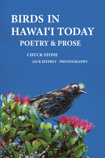 Birds in Hawaii Today: Poetry & Prose by Chuck Stone and Jack Jeffrey