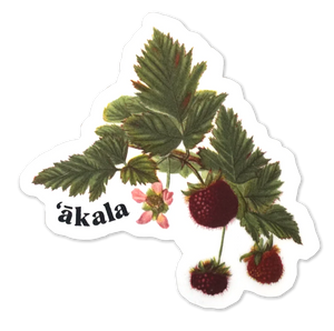 ʻĀkala Sticker