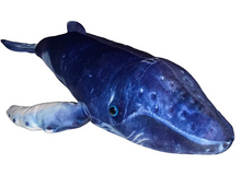 Load image into Gallery viewer, Humpback Whale Aquatic Plush Stuffed Animal 16”

