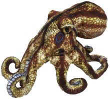 Load image into Gallery viewer, Octopus Aquatic Ocean Plush 10&quot; Stuffed Animal
