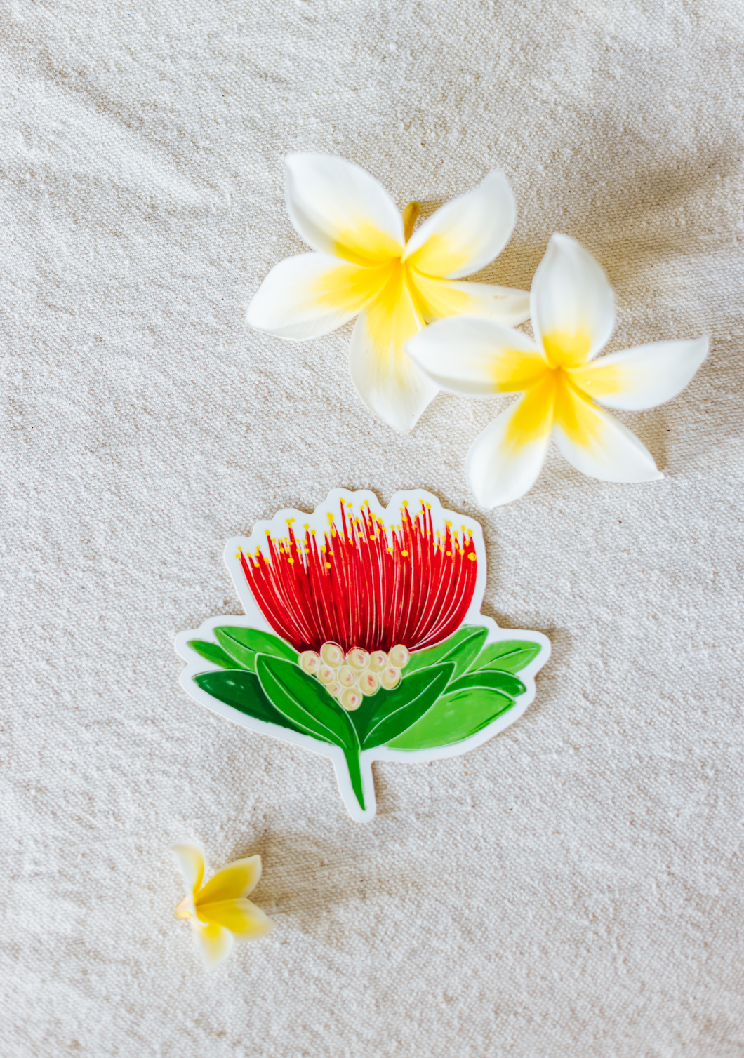Lehua Blossom Sticker