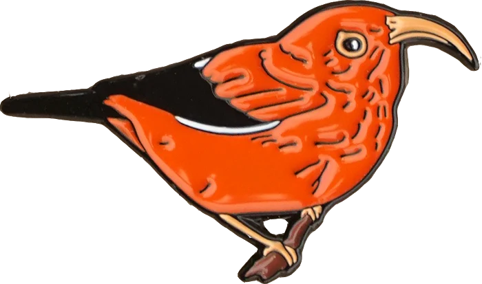 'I'iwi Pin