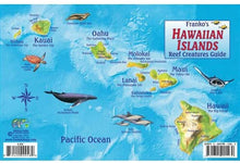 Load image into Gallery viewer, Franko Information Cards
