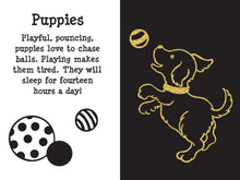 Load image into Gallery viewer, Scratch and Sketch Furry Friends: An Art Activity Book for Animal Lovers and Artists of All Ages (Scratch and Sketch) by Heather Zschock
