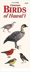 Hawaii Pocket Guides: Common Birds Of Hawaii, translated by Hiroshi Nakata