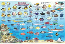 Load image into Gallery viewer, Franko Information Cards
