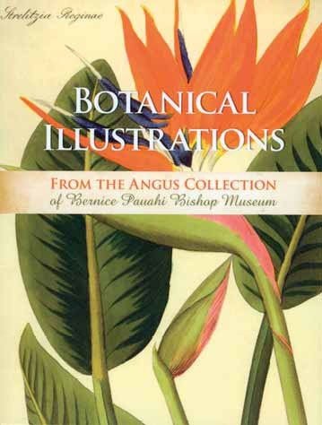 Botanical Illustrations Notecards