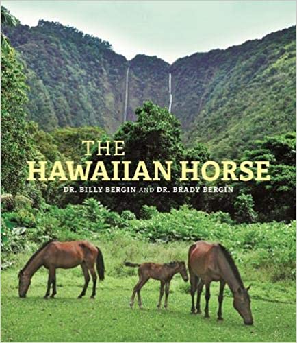 The Hawaiian Horse by Billy and Brady Bergin